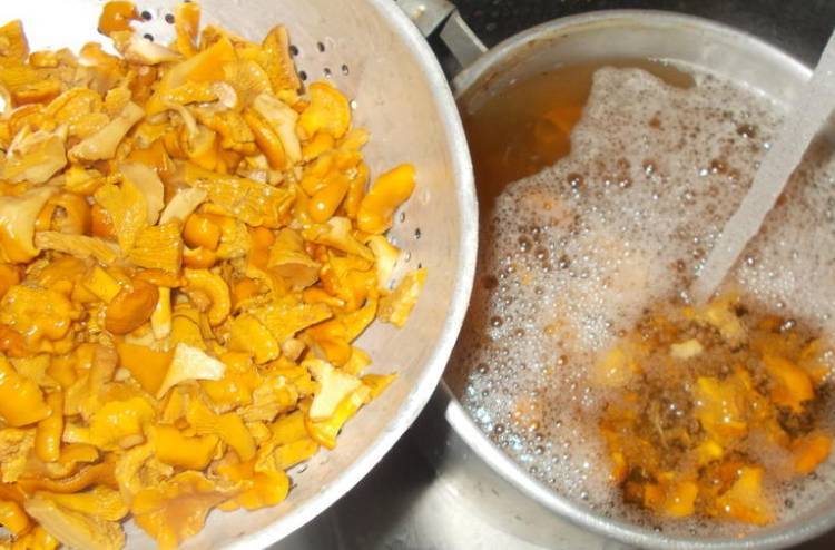Заморозка лисичек на зиму: рецепты заготовки грибов, как правильно заморозить лисички в домашних условиях
