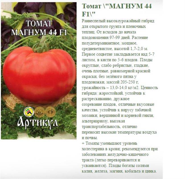 10 сортов томатов, подходящие для выращивания на подоконнике