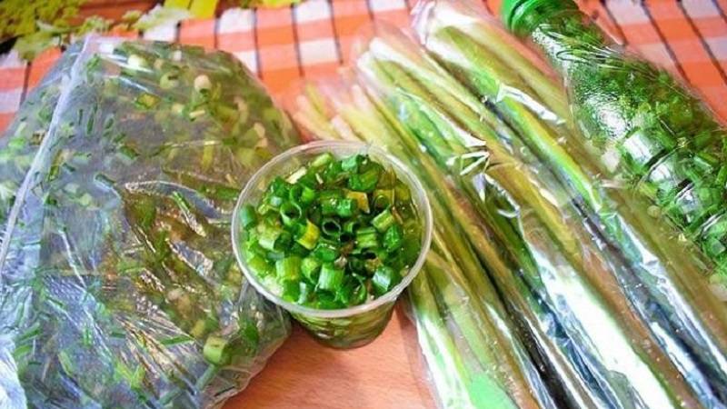 Как сохранить зеленый лук: полезные заготовки на зиму