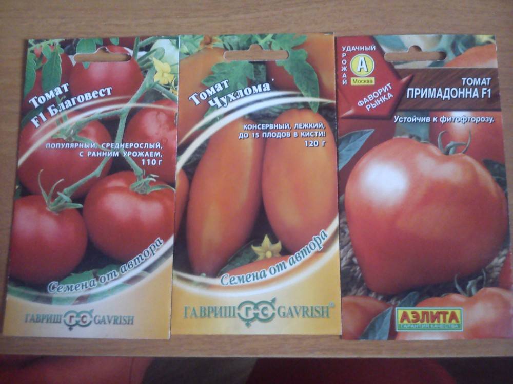 Томат "примадонна" f1: описание сорта и характеристика, выращивание и получение хорошей урожайности с куста, фото плодов-помидоров