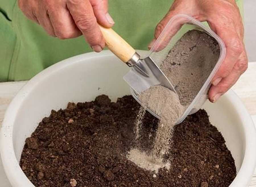 Как подготовить землю (грунт) для рассады в домашних условиях