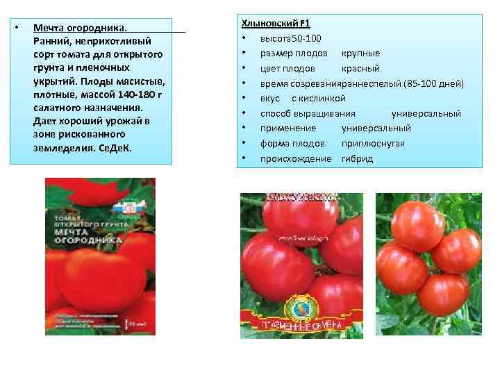 Сорт томатов исполин, описание, характеристика и отзывы, фото, а также особенности выращивания
