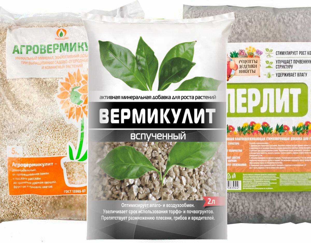 Применение перлита и вермикулита для улучшения качества грунта для посева семян на рассаду и пересадки комнатных растений