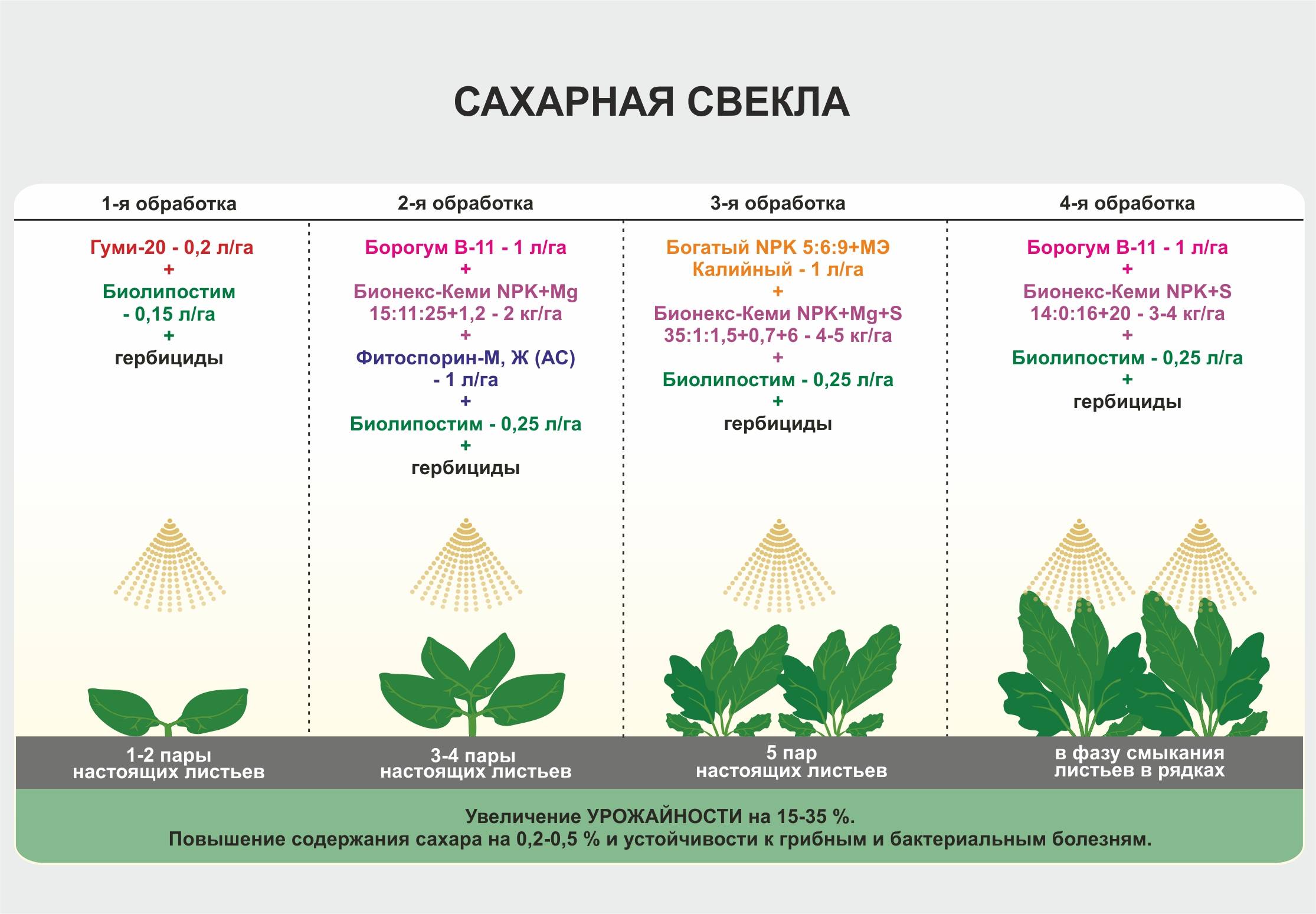 Топ-5 гербицидов от сорняков — классификация, отзывы и стоимость