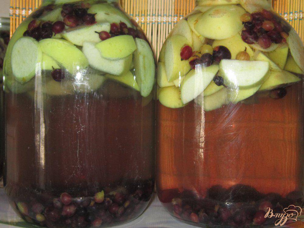 Рецепты компота из яблок и красной и черной смородины на зиму, как сварить в домашних условиях