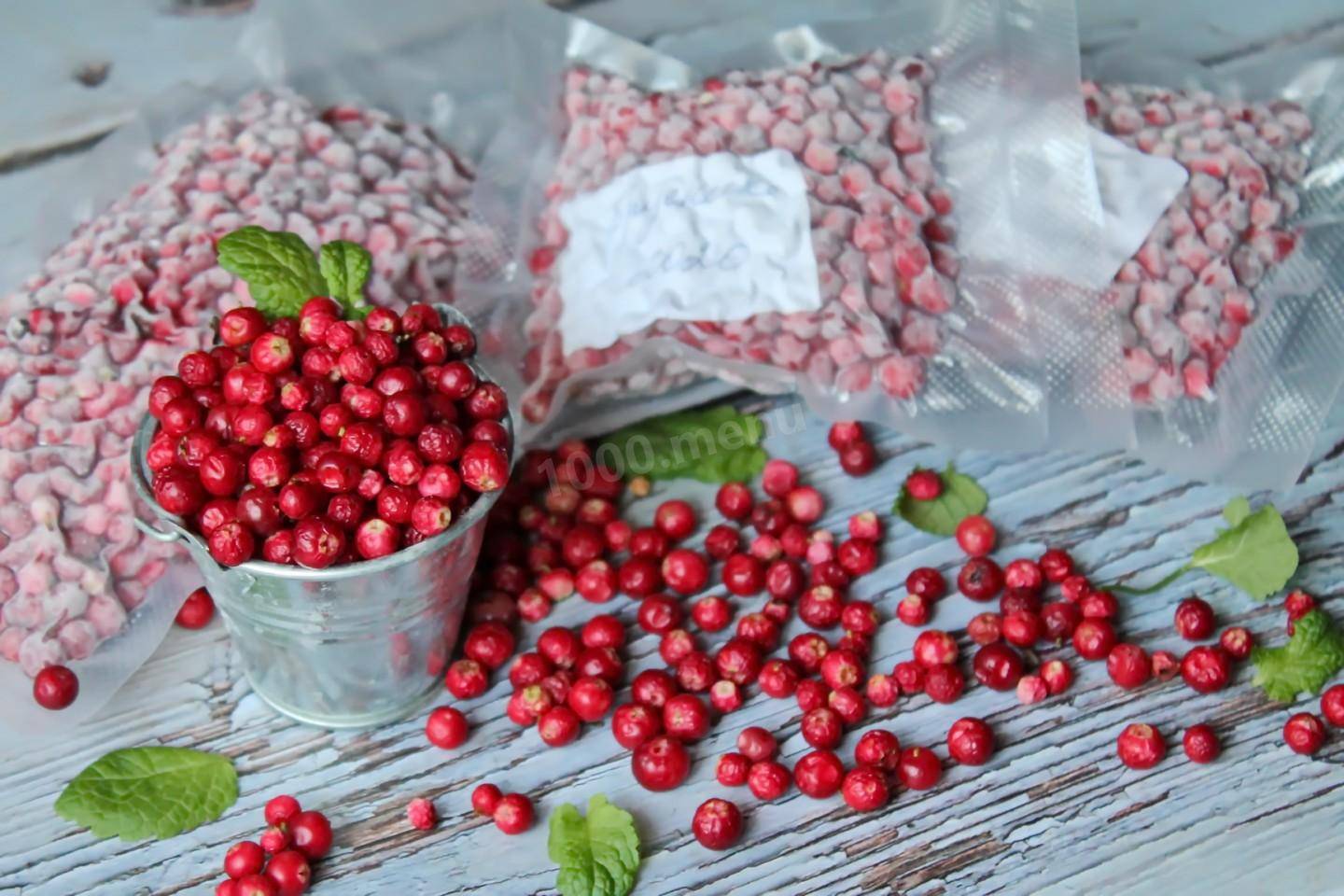 Простые способы как сохранить ягоды брусники на зиму