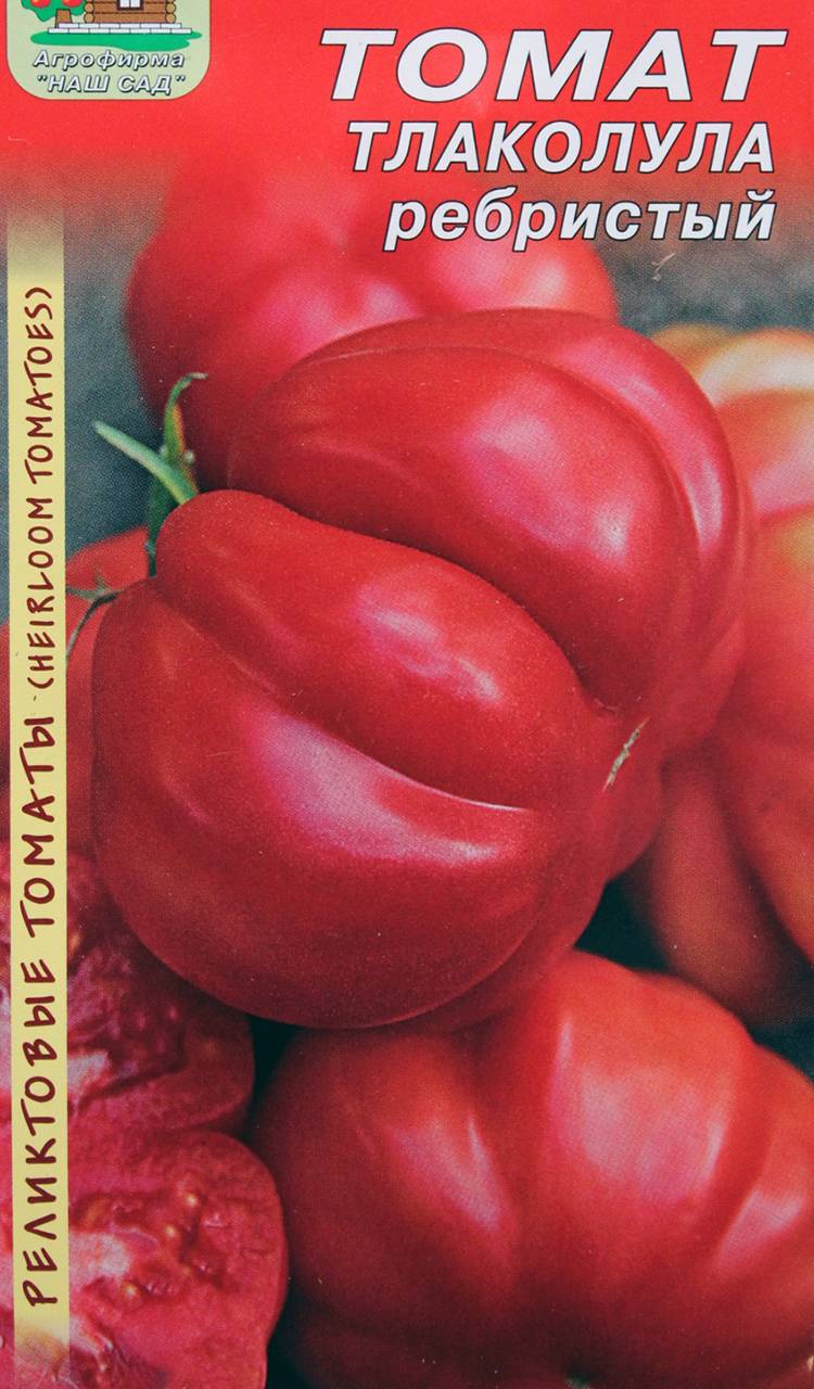 Томат «тлаколула де матаморос». описание сорта — характеристика урожайности и агротехника посадки, уход и выращивание помидора (фото)