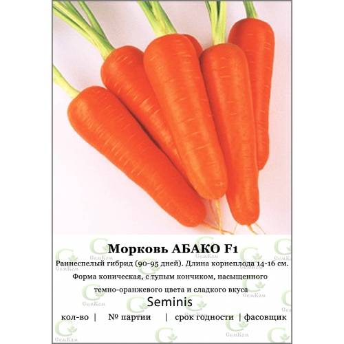 Подробная характеристика и особенности выращивания моркови сорта абако