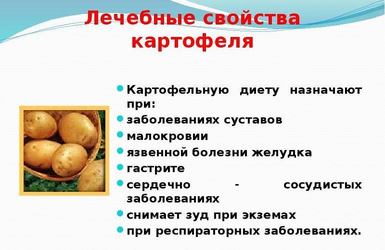 Чем полезен картофель для человека, его лечебные свойства и противопоказания :: syl.ru