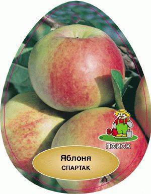 Описание и тонкости выращивания яблони сорта спартак
