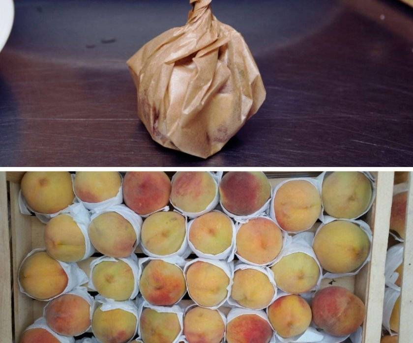 4 способа заморозить абрикосы на зиму