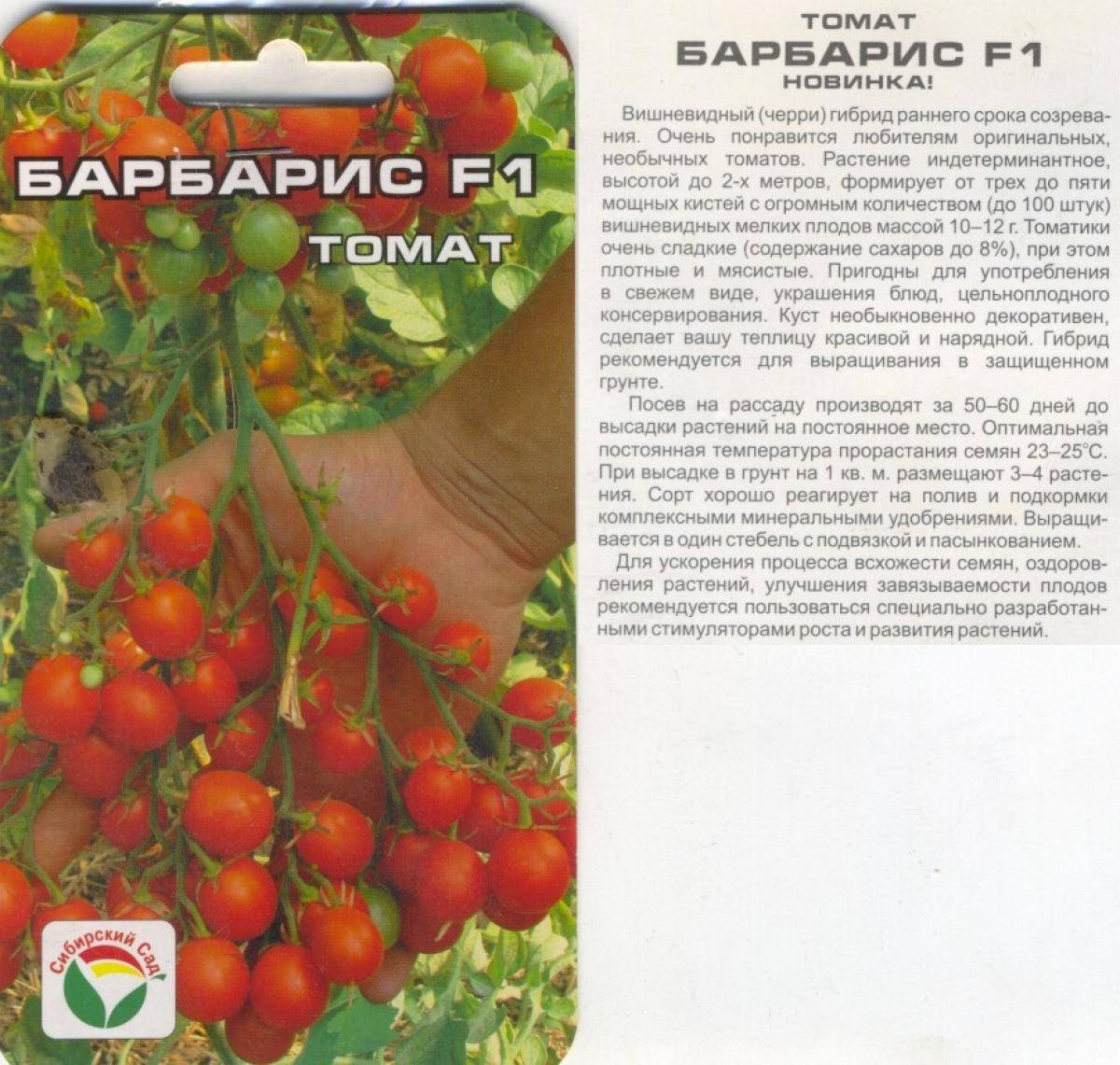 Описание сорта томата барин, особенности выращивания и урожайность