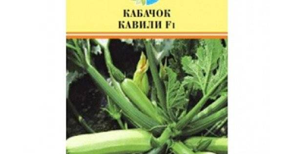 Кабачок кавили: характеристика и описание сорта, урожайность с фото