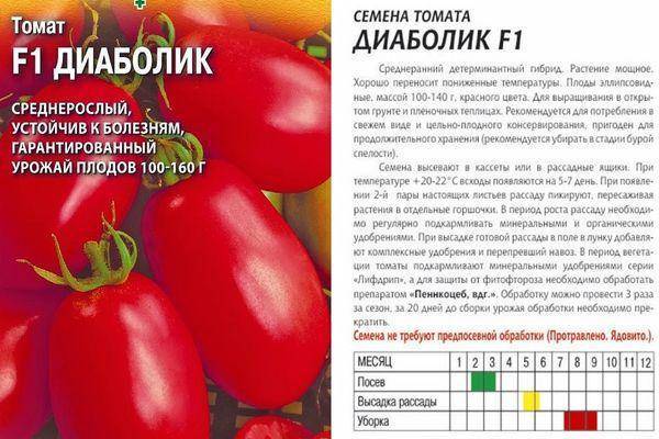 Описание томата чибли - дневник садовода semena-zdes.ru