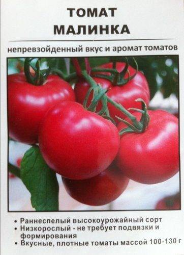 Раннеспелый гибрид от французских селекционеров — томат «алези»: обзор преимуществ, недостатков и особенностей