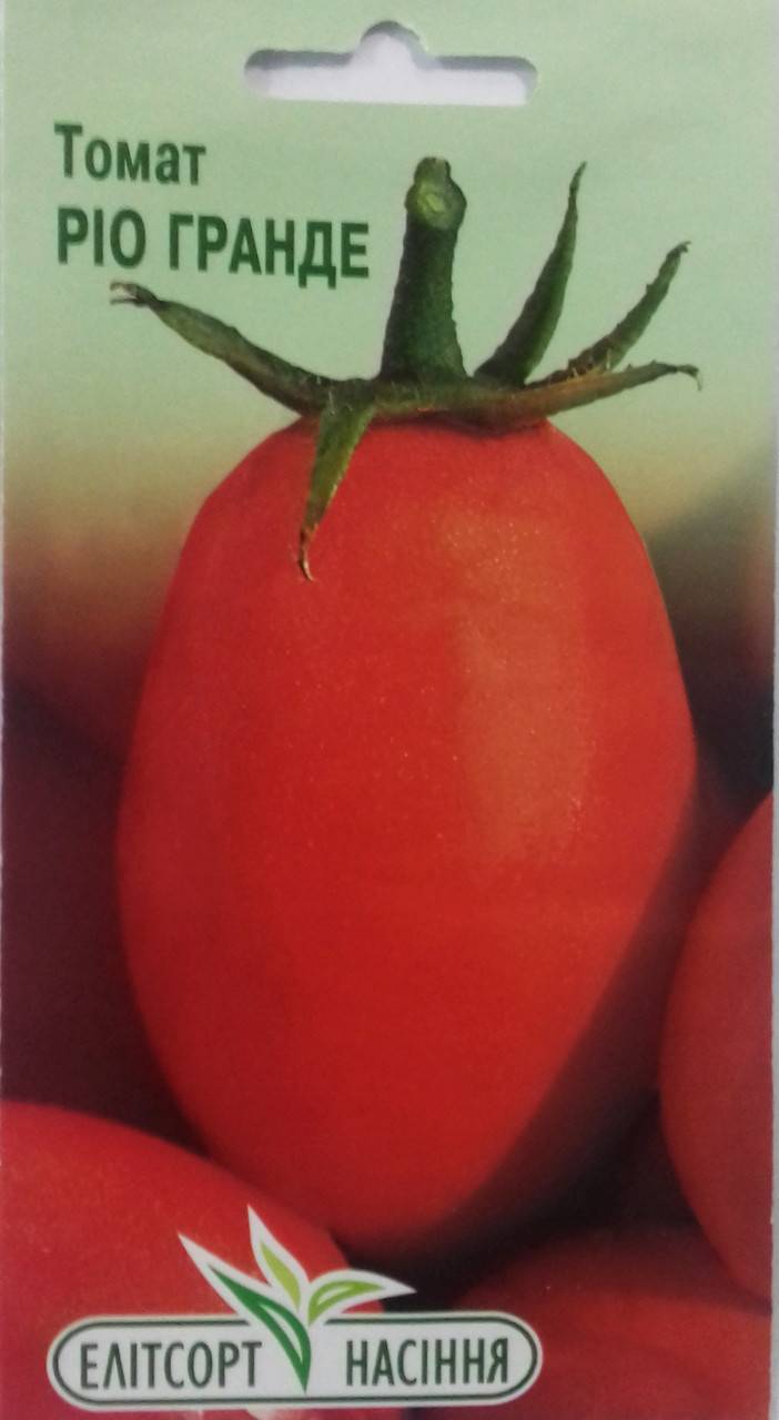 Помидор сорта рио фуего: описание, фото, характеристика томата безрассадного способа выращивания