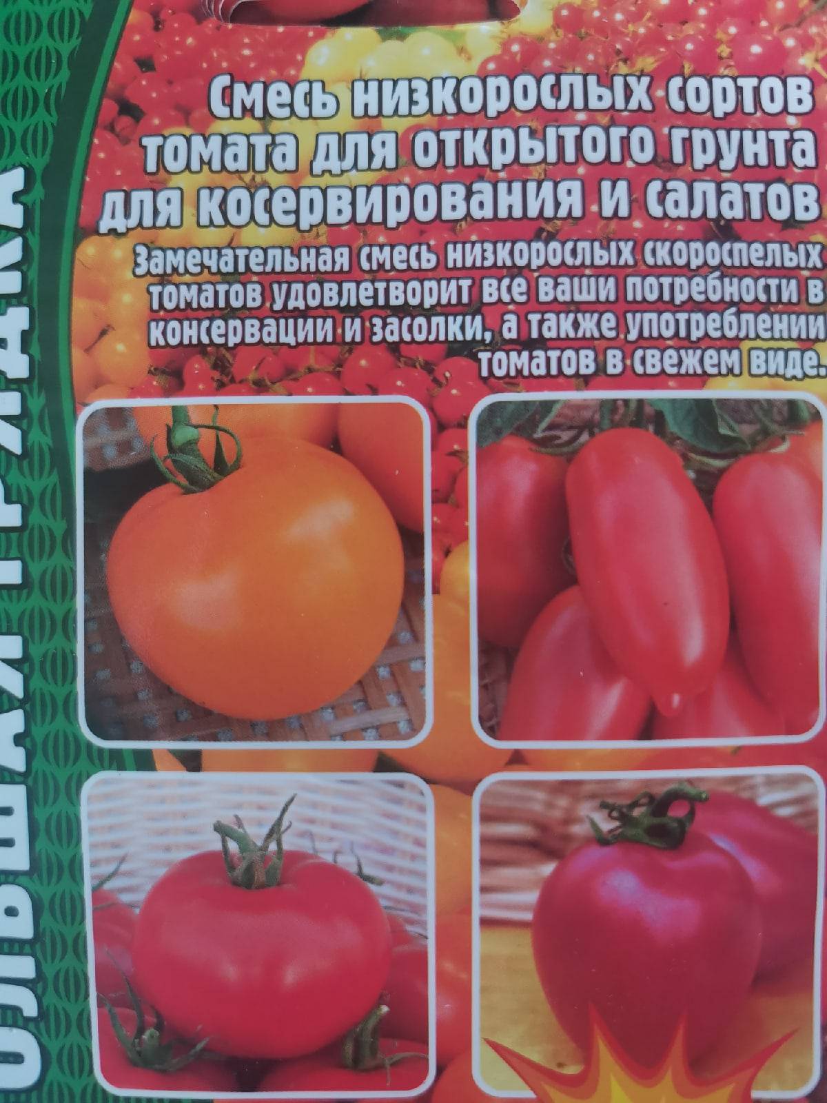 Обзор популярных сортов помидоров для теплиц: фото и характеристики