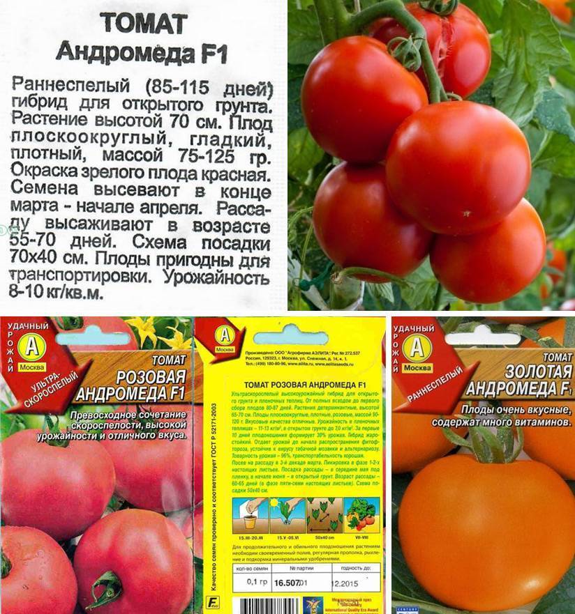 Супер урожайный томат асвон f1: подробное описание, агротехника, отзывы