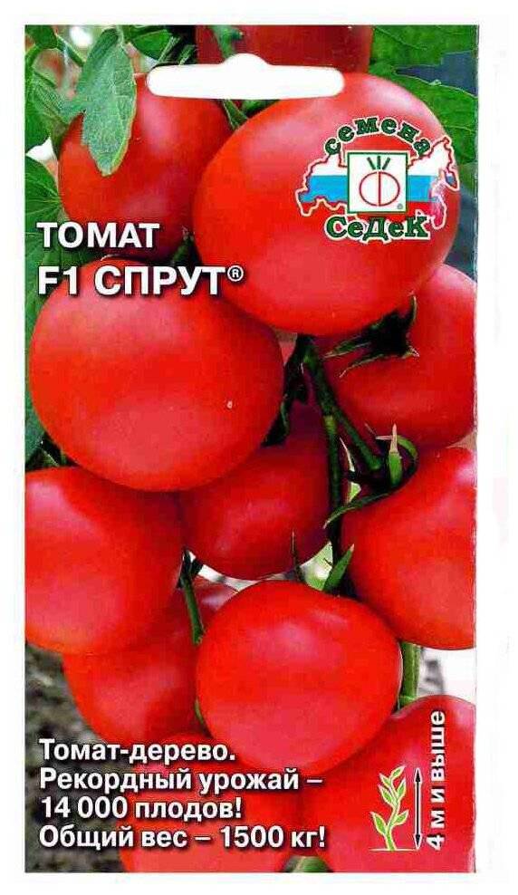 Томат «спрут» f1 (томатное дерево) – характеристики, описание, фото и отзывы садоводов