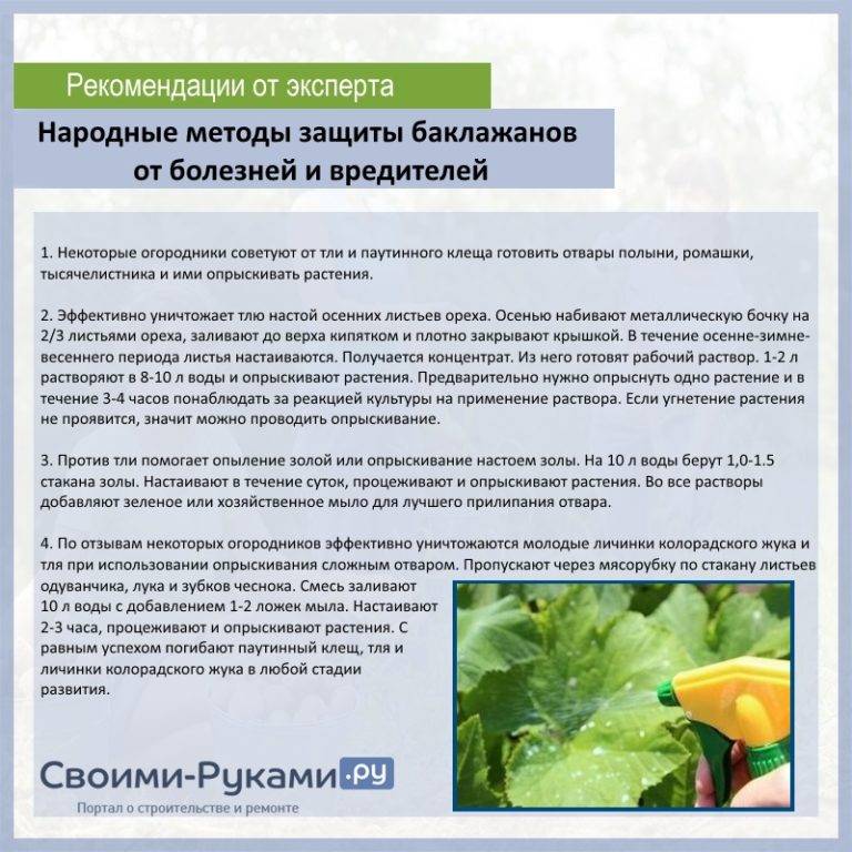 Фитофтороз огурцов: лучшие способы лечения растения