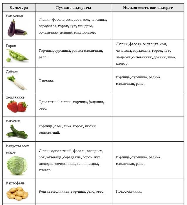 Какие овощные культуры не любят золу