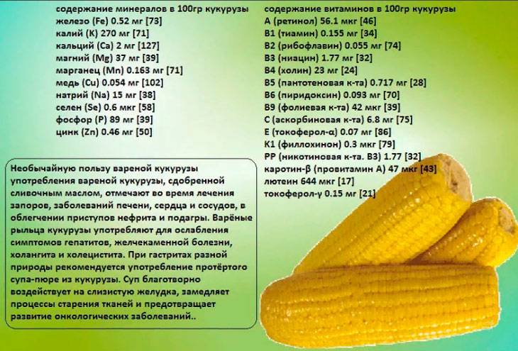 Кукуруза, польза и вред для здоровья человека