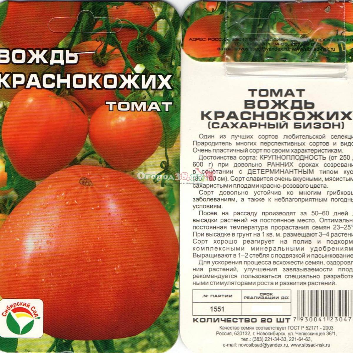 Неприхотливый сорт — томат иришка f1: подробное описание помидоров и советы по выращиванию