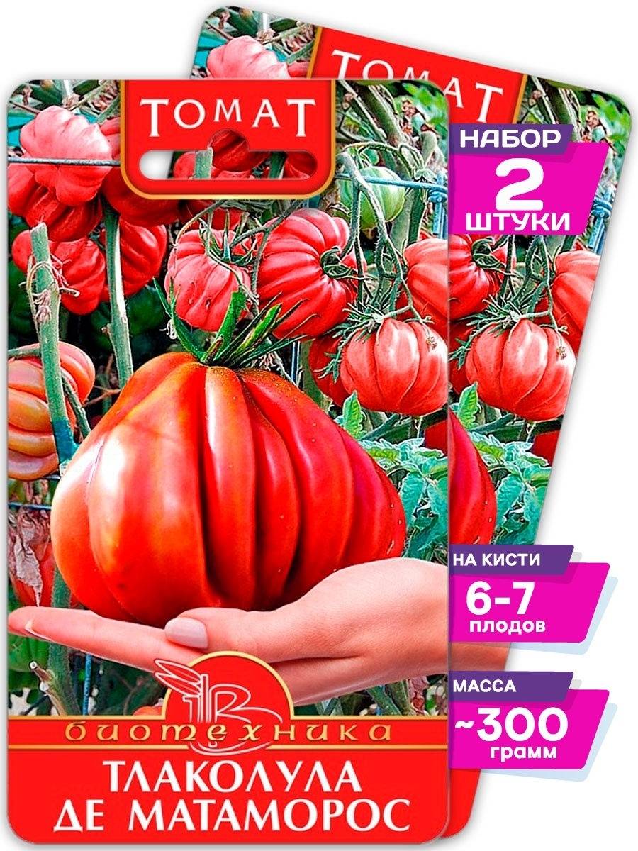 Выбираем лучший сорт томата — советы селекционера — ботаничка